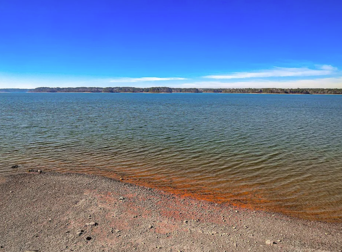 Open lake and natural shoreline from Abundance Point