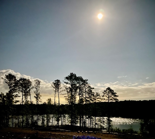 Moonrise over trees and the lake at Abundance Point